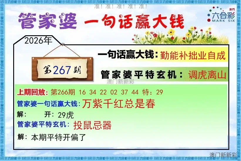 管家婆