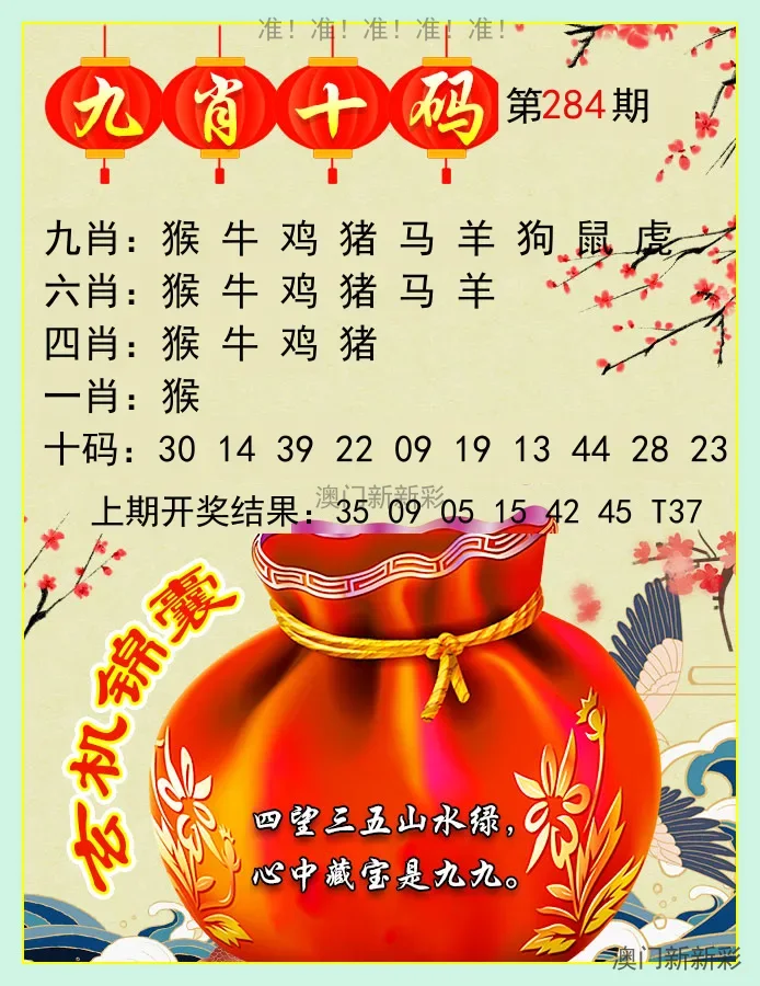 九肖十码