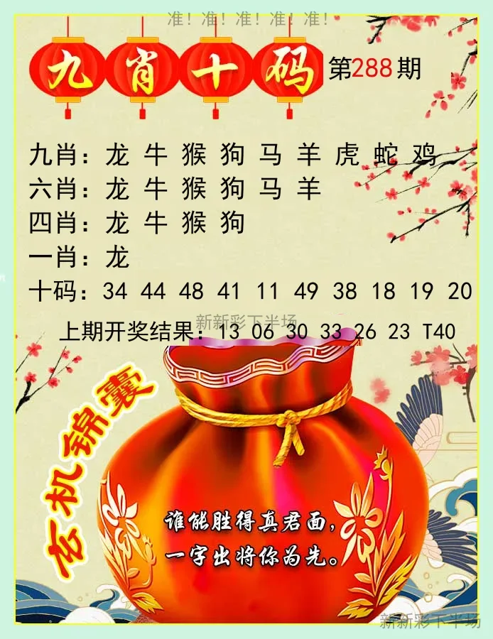 九肖十码