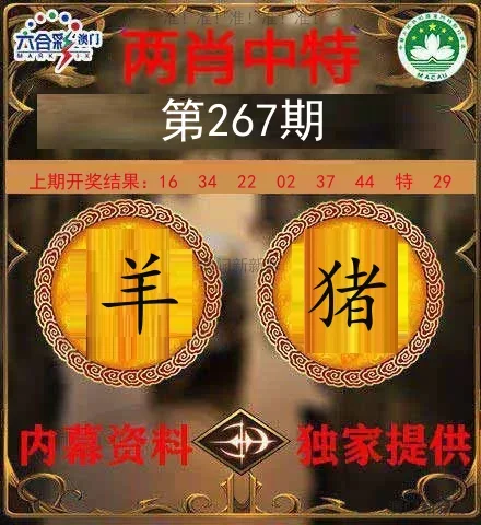 两肖中特